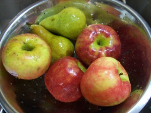 honeycrisp-apples-001